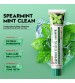 Sadoer Spearmint Mint Deep Cleansing&Cooling Mint Refreshing Toothpaste 100g